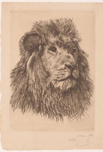Lion's Head