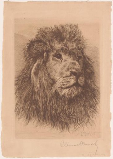 Lion's Head
