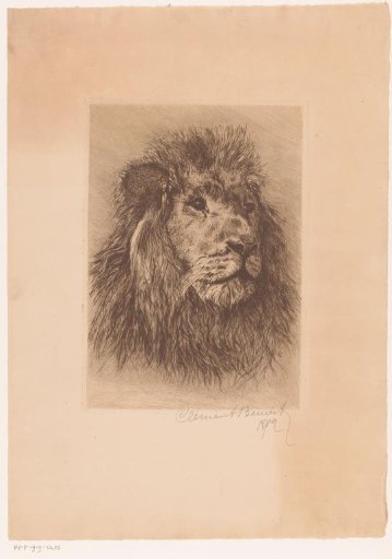 Lion's Head