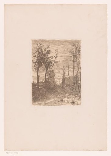 Country Road between Narrow Trees