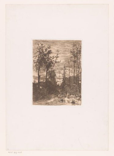 Country road between narrow trees
