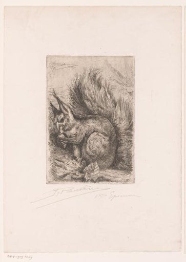 Squirrel with a Hazelnut