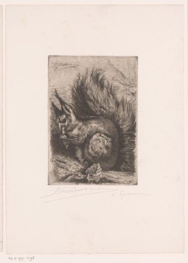 Squirrel with a Hazelnut