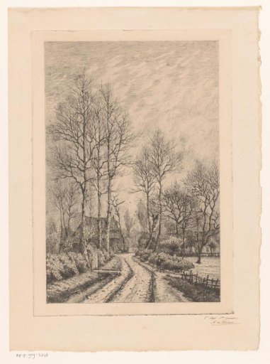 Country Road with a Few Tall, Leafless Trees and Farmhouses