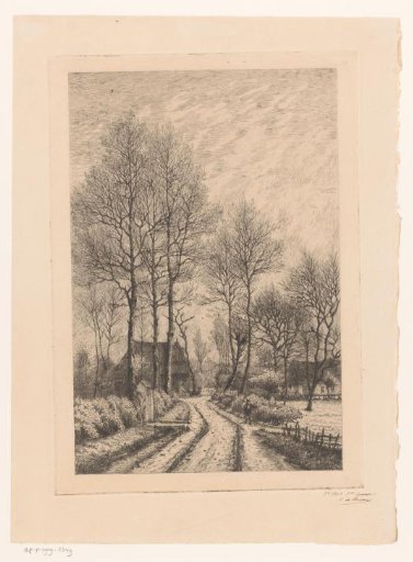 Country Road with a Few Tall, Leafless Trees and Farmhouses