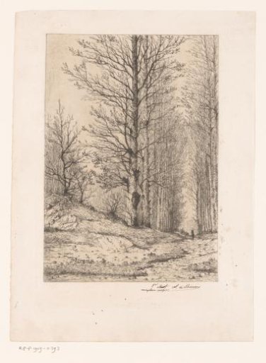 Tree-lined Avenue with Rider