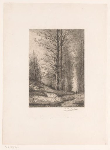 Tree-lined Avenue with Rider