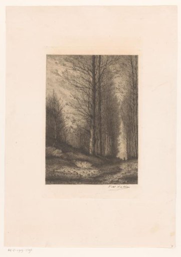 Tree-lined Avenue with Rider