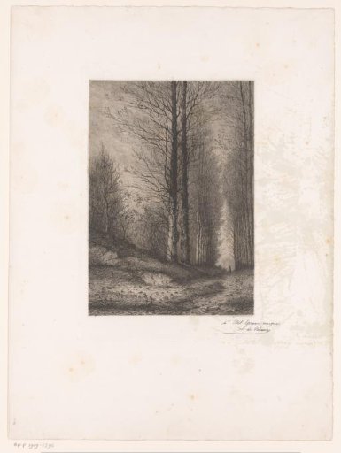 Tree-lined Avenue with Rider