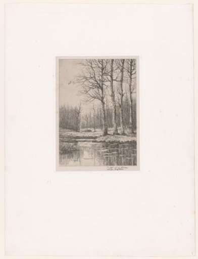 Four trees by a lake, with brushwood behind them