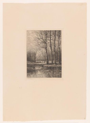 Four trees by a lake, with brushwood behind them