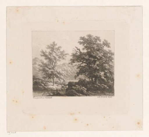 Wooded Landscape with a Water Feature on the Left in Front of a Single Tree