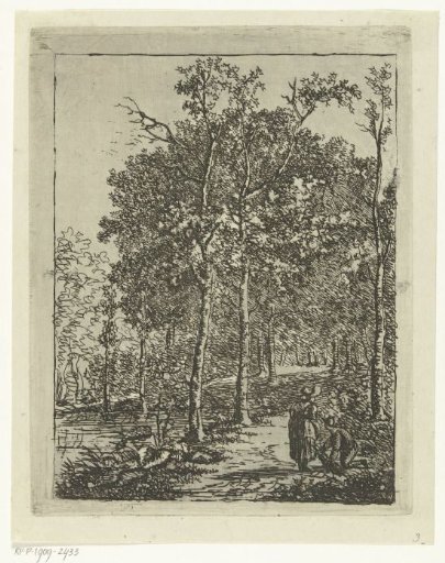 View in the Hague Forest