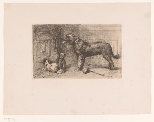 Three dogs waiting at a door
