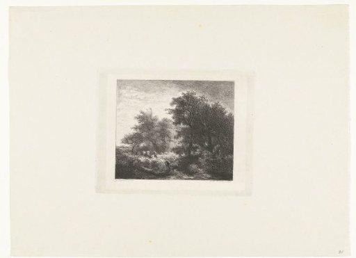 Forest View