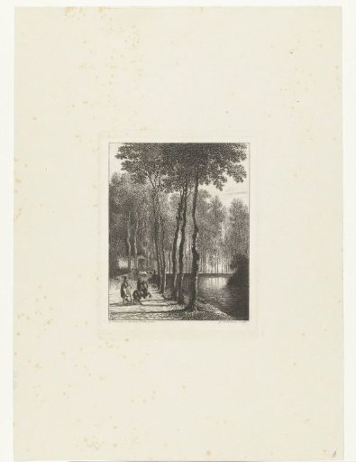 The Birch Avenue