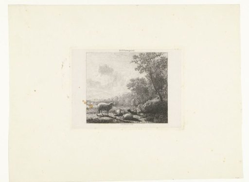 Flock of Sheep at the Edge of the Woods