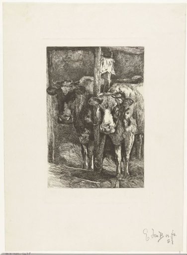 Two Cows in the Stable