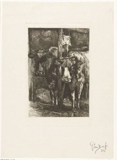 Two Cows in the Stable