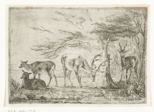 Forest edge with deer