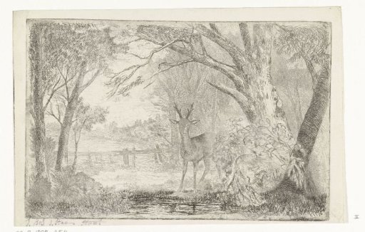 Park landscape with a stag