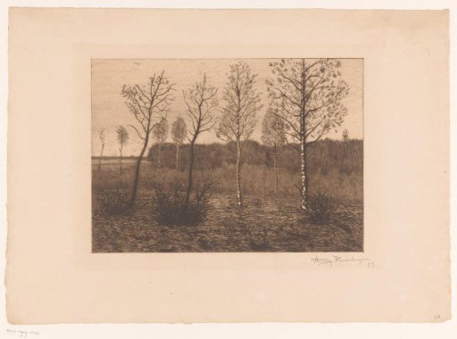 Landscape with birches