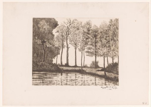 Lake surrounded by trees