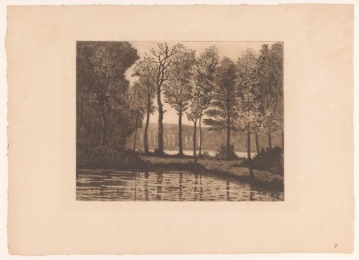 Lake surrounded by trees