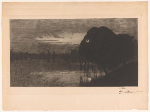 Moonlight through the leaves of a weeping willow at the edge of a lake
