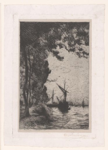 River landscape with various sailing boats