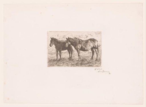Two Horses