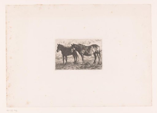 Two Horses