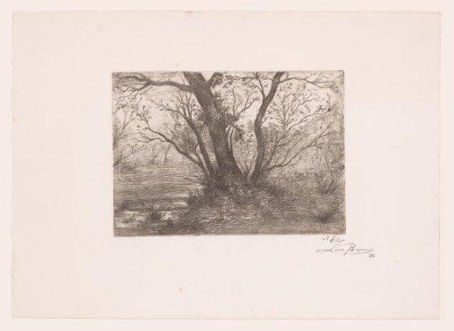 Wooded Landscape