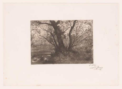 Wooded Landscape