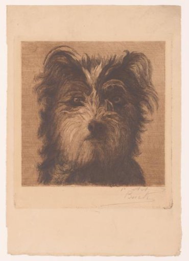 Dog's Head