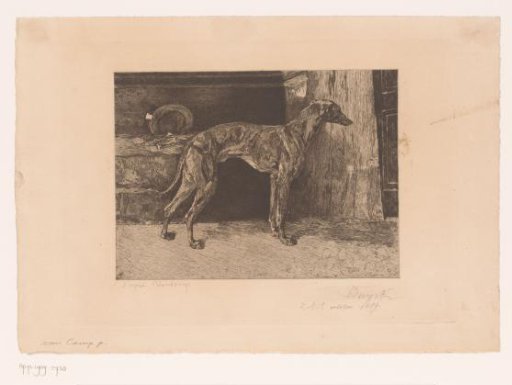 Greyhound in Front of a Closed Door