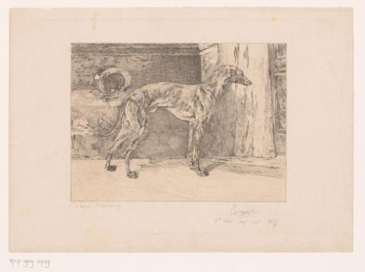 Greyhound in Front of a Closed Door