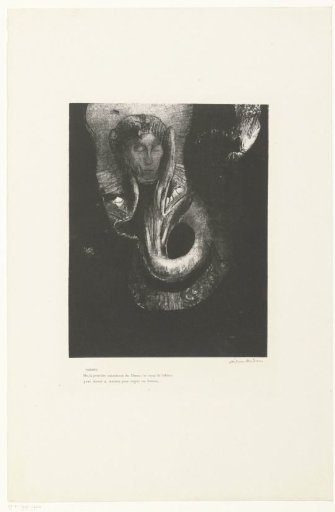 I, the first consciousness in the chaos