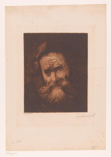 Head of an old man with a beard