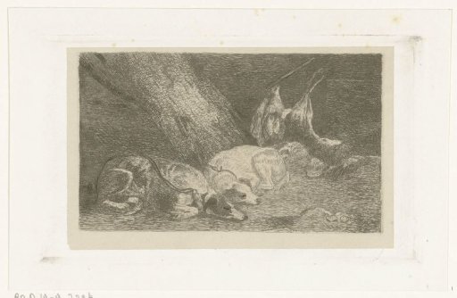 Two dogs rest by the hunt's spoil
