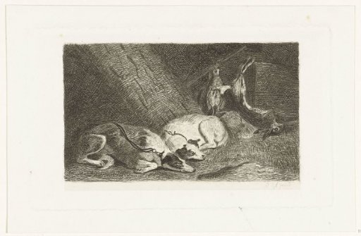 Two dogs rest by the hunt's spoil