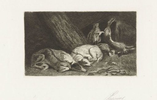 Two dogs rest by the hunt's spoil