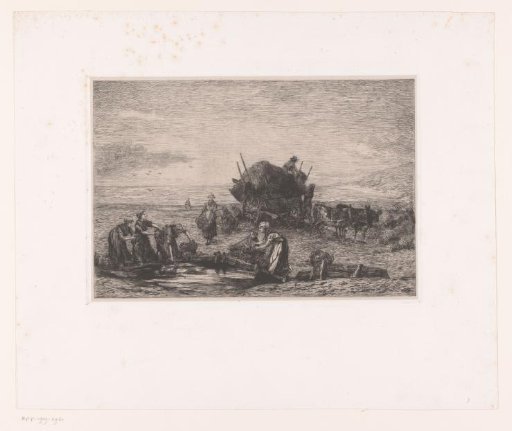 Gathering seaweed on the dune coast