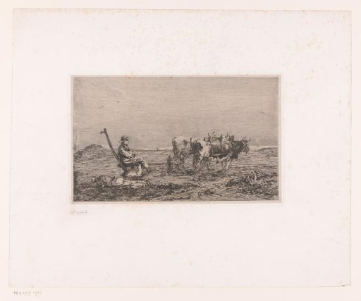 Peasants in the field with a plough and two oxen