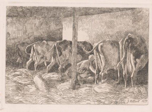 Woman milking a cow in the stable