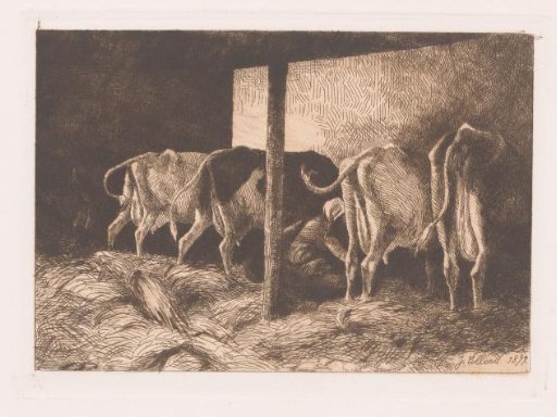 Woman milking a cow in the stable