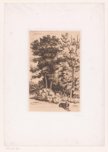 View of a wood with a dog sitting in front