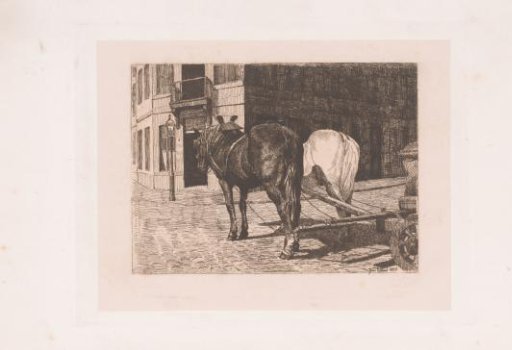 Two draft horses for a wagon, seen from behind