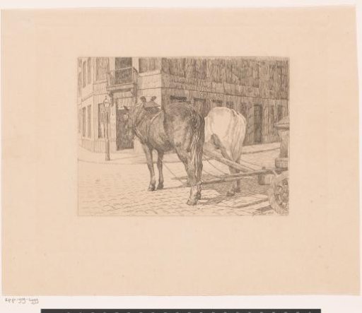 Two draft horses for a wagon, seen from behind