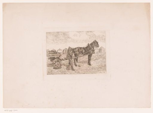 Draft horse for a cart on the beach